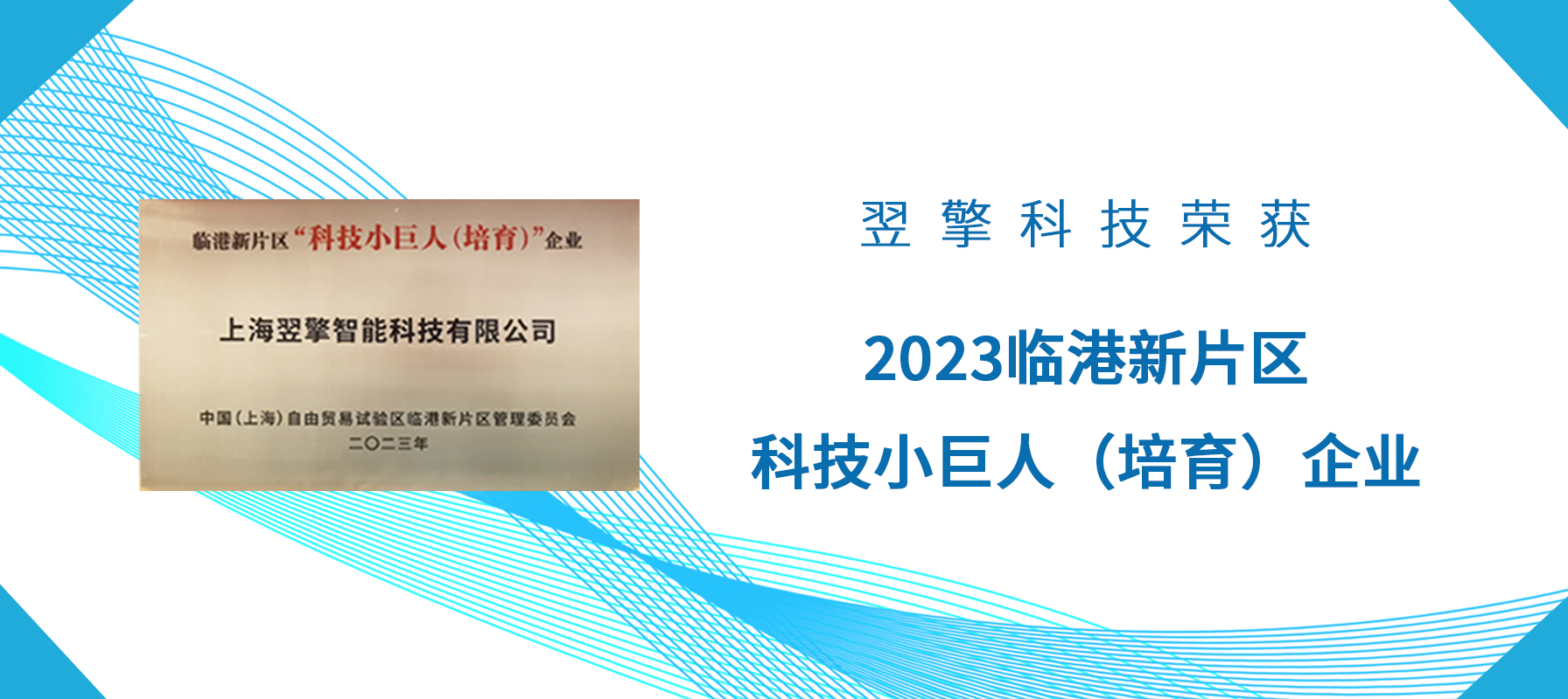 /uploads/image/2023/03/27/2023临港小巨人封面.png 2023临港小巨人封面.png